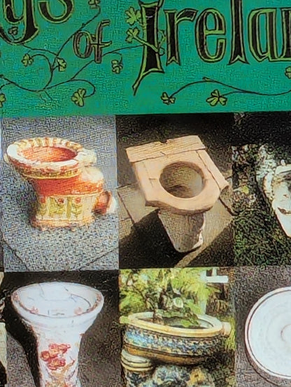 Bogs of Ireland Toilet Seat Novelty Souvenir Fridge Magnet Irish Gag Gift 3”