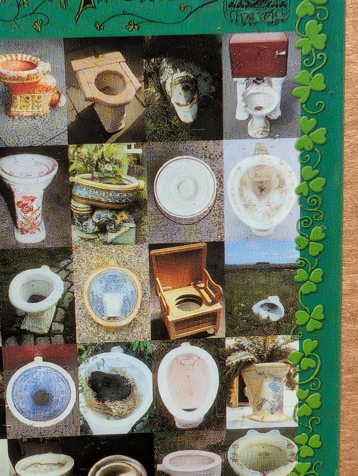Bogs of Ireland Toilet Seat Novelty Souvenir Fridge Magnet Irish Gag Gift 3”